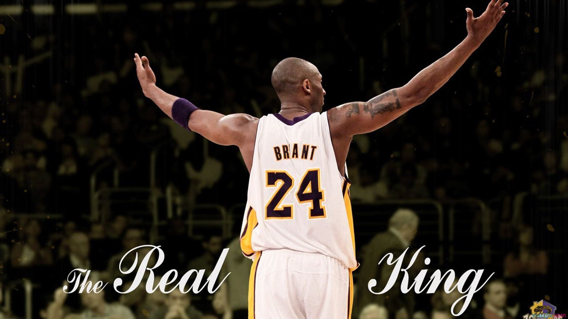 开云体育官网-哈登新星出色防守表现突出，公牛前途光明！热度持续攀升